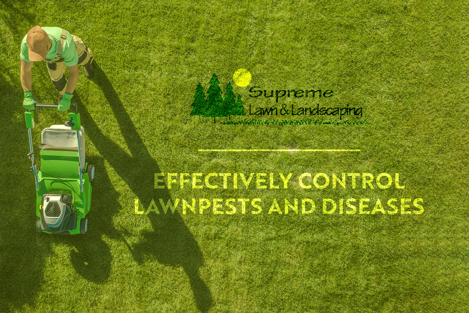 Supreme lawn and landscaping | lawn pests diseases