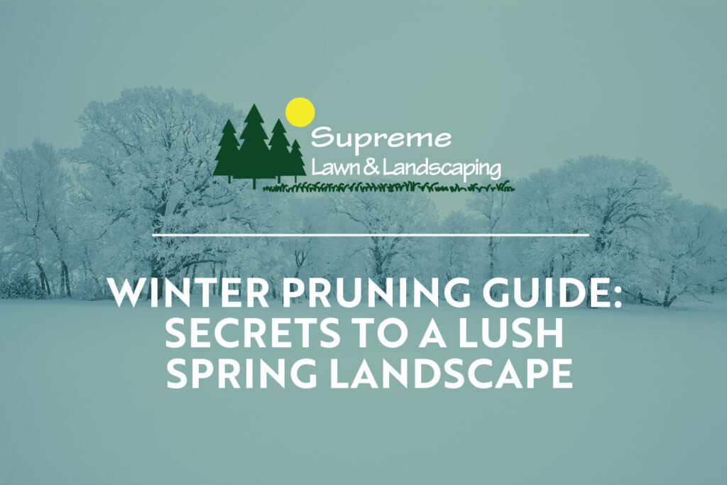 supreme lawn and landscaping | winter pruning