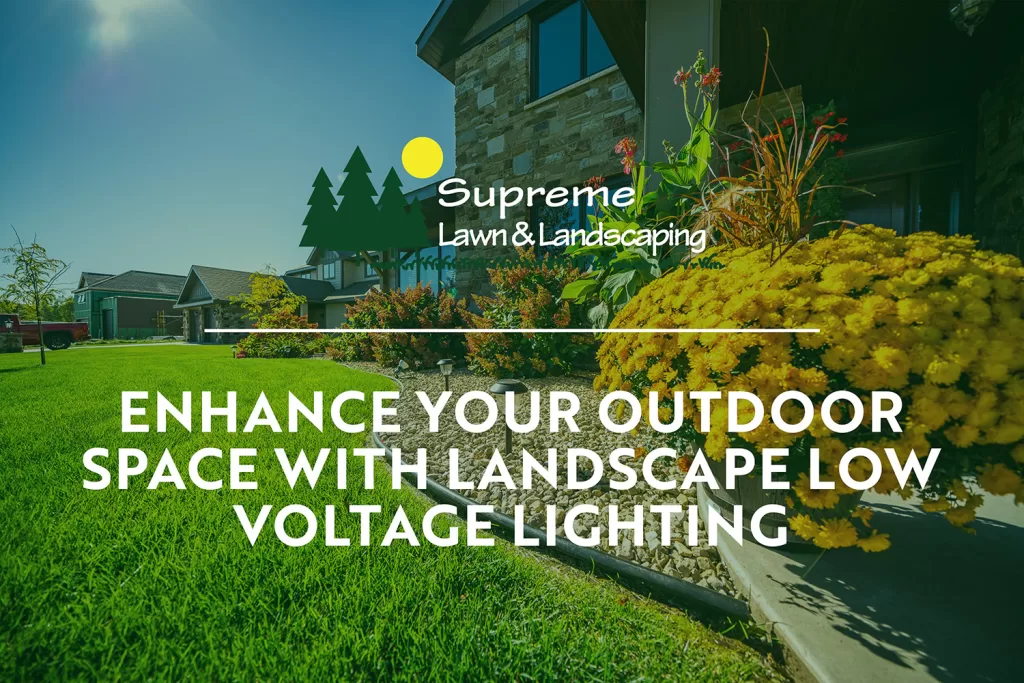 Landscape Low Voltage Lighting | Supreme Lawn