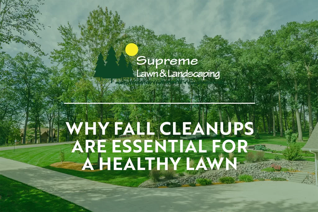 Why Fall Cleanups Are Essential for a Healthy Lawn | Supreme Lawn & Landscaping