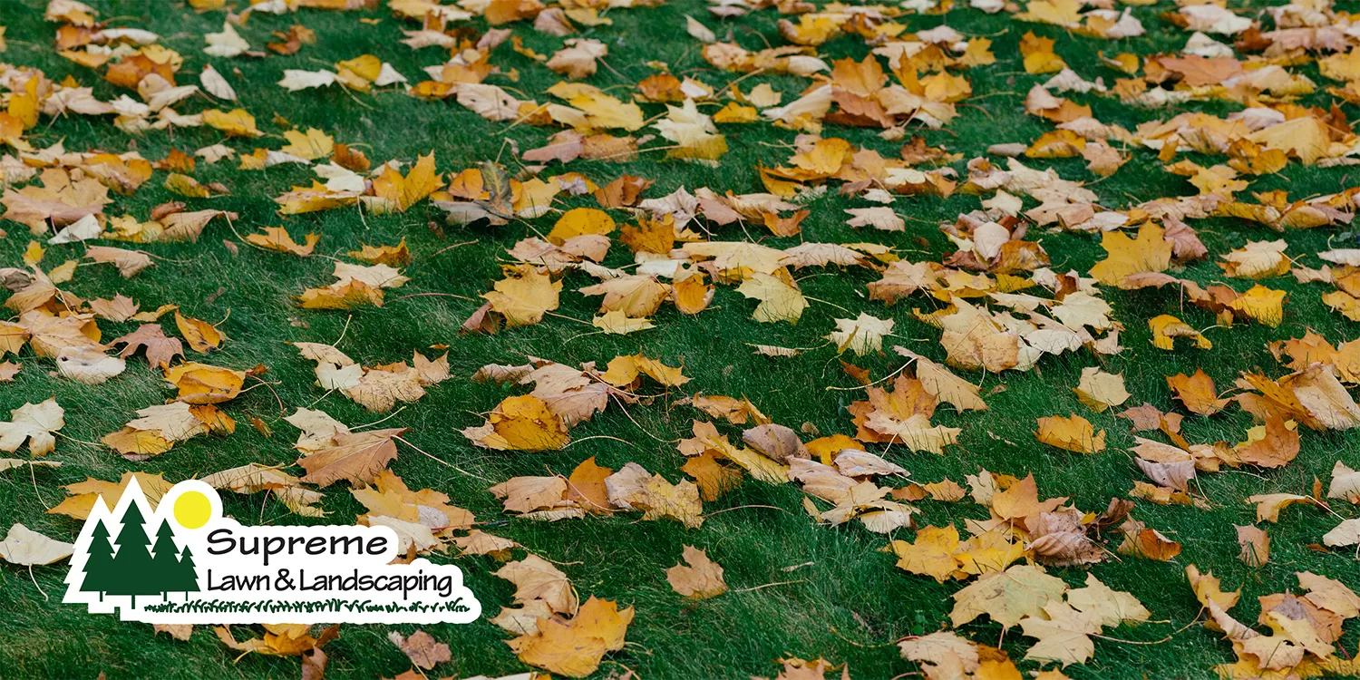 How to Protect Your Lawn from Common Fall Pests in Minnesota | Supreme Lawn