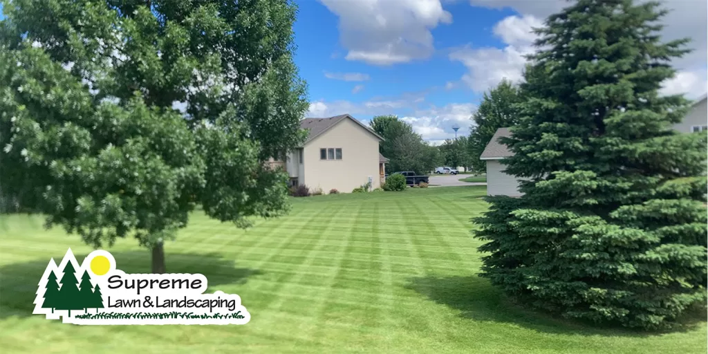 How Can You Achieve the Best Lawn Care in St. Cloud, MN? | Supreme Lawn & Landscaping