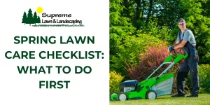 Spring Lawn Care Checklist: What to Do First